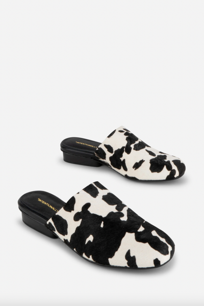Intentionally Blank - Mule in Black Moo