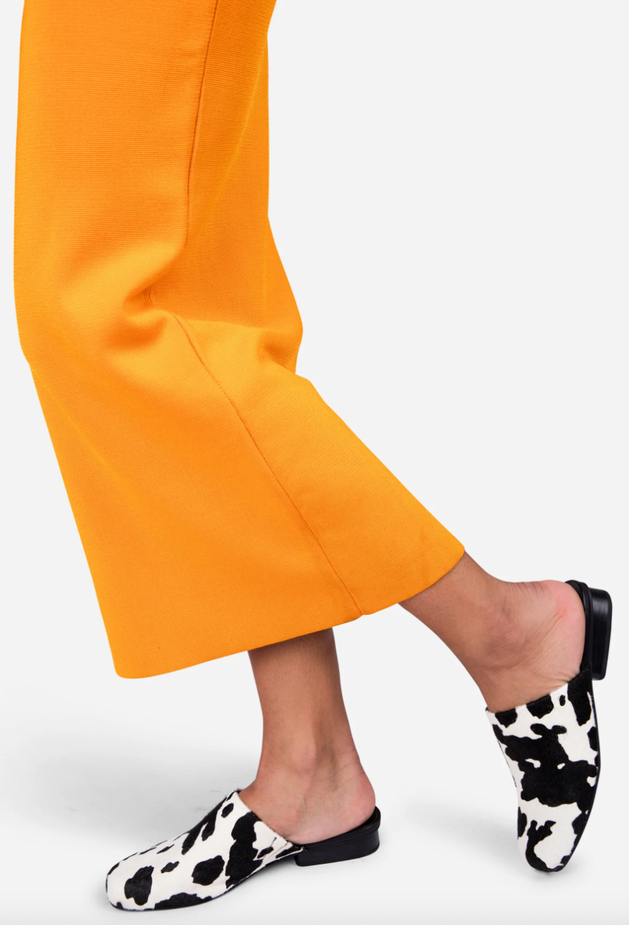 Intentionally Blank - Mule in Black Moo