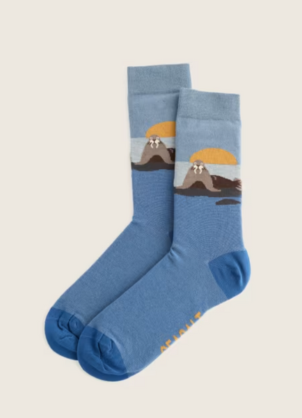Seasalt Socks - Organic Cotton Socks in Blue Walrus (Large)