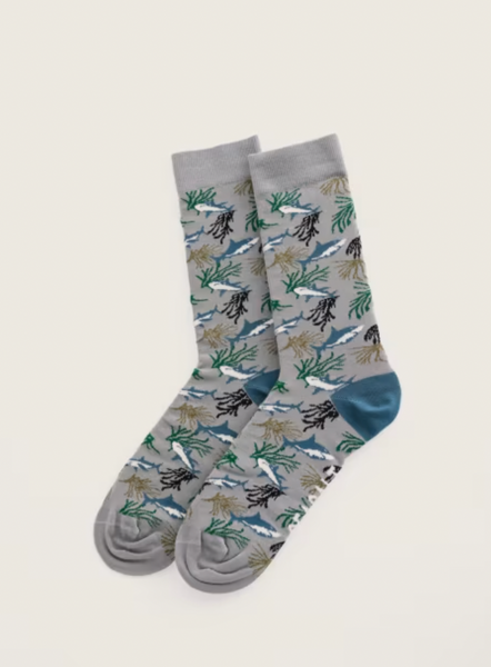 Seasalt Socks - Bamboo Socks in Grey Sharks (Large)
