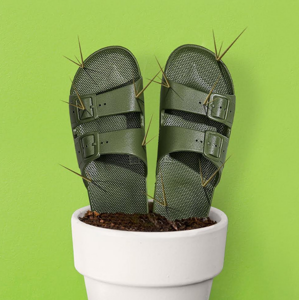 Freedom Moses - Sandals in Cactus